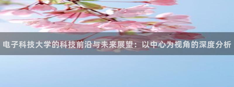 电子科技大学的科技前沿与未来展望：以中心为视角的深度分析