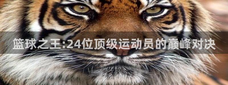 篮球之王:24位顶级运动员的巅峰对决