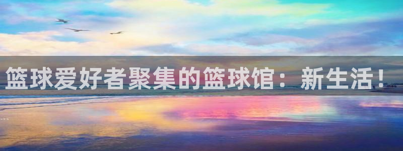 篮球爱好者聚集的篮球馆：新生活！