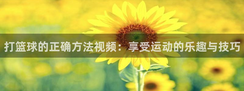 打篮球的正确方法视频：享受运动的乐趣与技巧