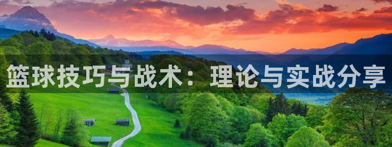篮球技巧与战术：理论与实战分享
